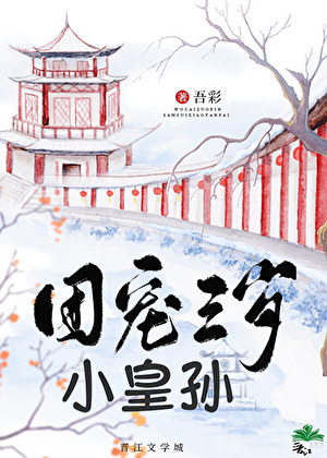 团宠三岁小皇孙