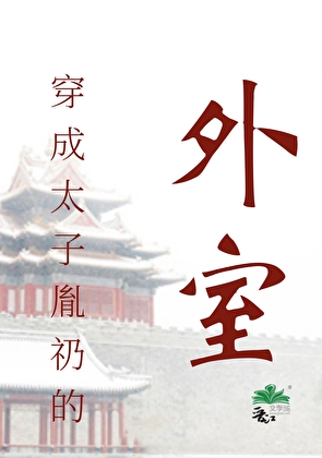 穿成太子胤礽的外室